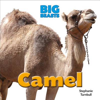 Cover of Camel