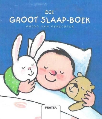 Book cover for Die groot slaapboek