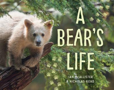 Book cover for A Bear's Life