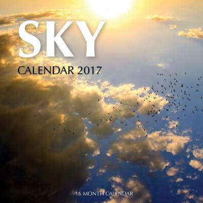 Book cover for Sky Calendar 2017