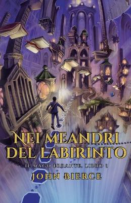 Book cover for Nei meandri del labirinto