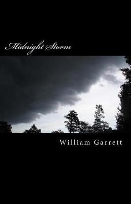 Book cover for Midnight Storm