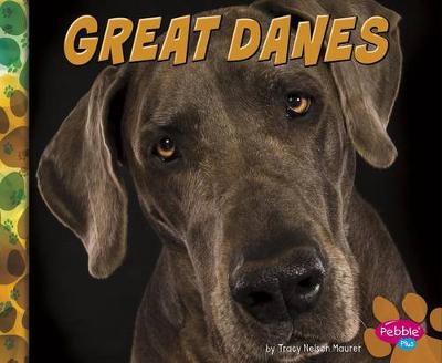 Book cover for Great Danes