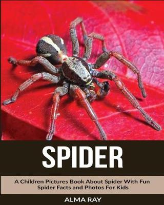 Book cover for Spider