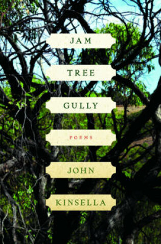 Cover of Jam Tree Gully