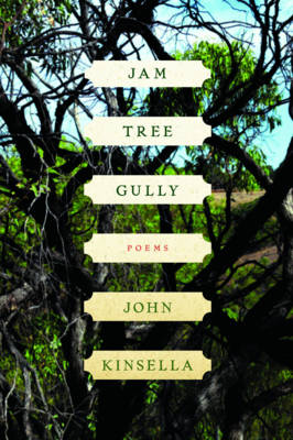 Book cover for Jam Tree Gully