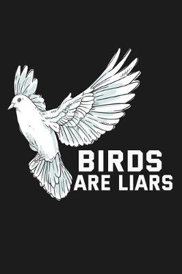 Book cover for Birds Are Liars