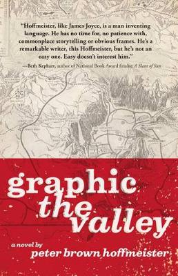 Book cover for Graphic the Valley