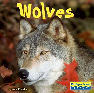 Book cover for Wolves