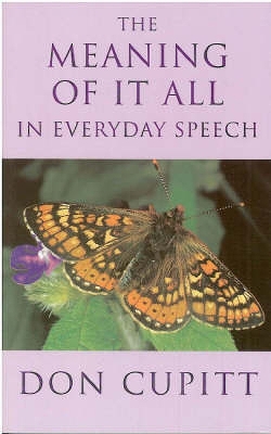 Book cover for Meaning of it All in Everyday Speech