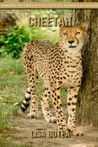 Cover of Cheetah