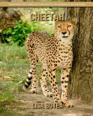 Book cover for Cheetah