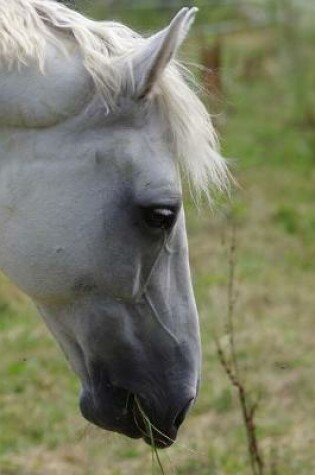 Cover of Beautiful White Horse Notebook