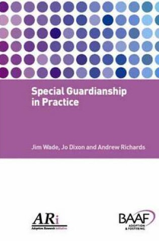 Cover of Special Guardianship in Practice
