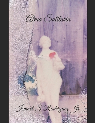 Book cover for Alma Solitaria