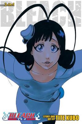 Cover of Bleach (3-in-1 Edition), Vol. 22