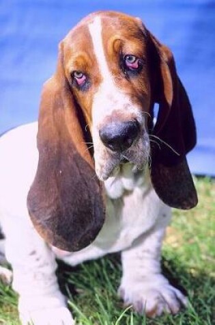 Cover of Basset Hound Dog Photo Journal