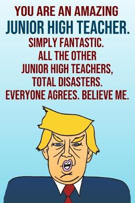 Book cover for You Are An Amazing Junior High Teacher Simply Fantastic All the Other Junior High Teachers Total Disasters Everyone Agrees Believe Me