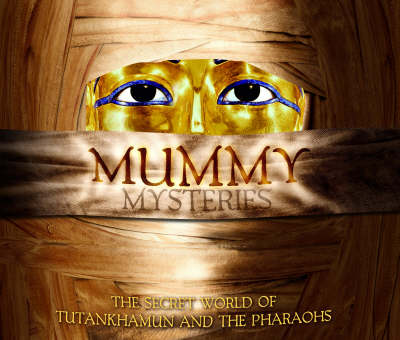 Book cover for Mummy Mysteries