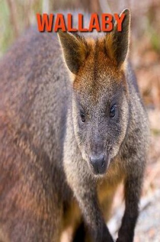 Cover of Wallaby