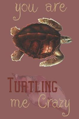 Book cover for you are Turtling me crazy