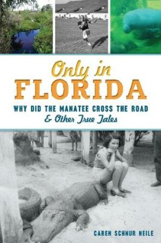 Cover of Only in Florida