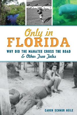 Book cover for Only in Florida