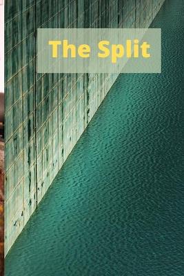 Book cover for The Split