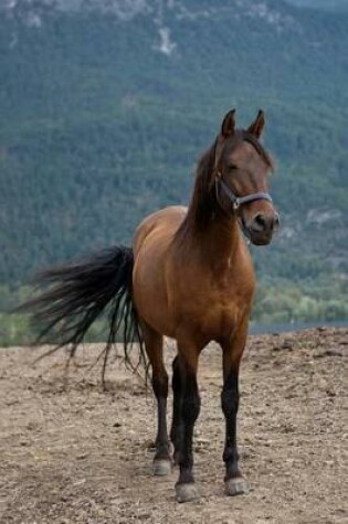 Cover of A Chestnut Brown Horse Portrait Journal