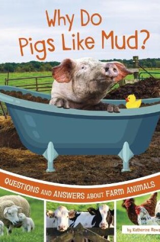 Cover of Why Do Pigs Like Mud?
