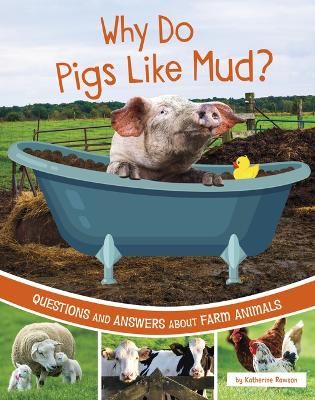 Book cover for Why Do Pigs Like Mud?