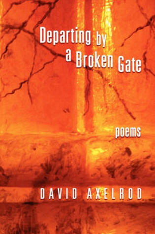 Cover of Departing Through A Broken Gate