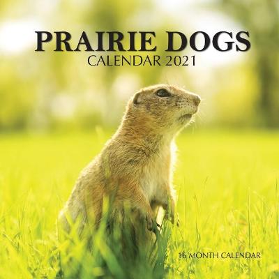 Book cover for Prairie Dogs Calendar 2021