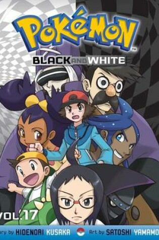 Cover of Pokémon Black and White, Vol. 17