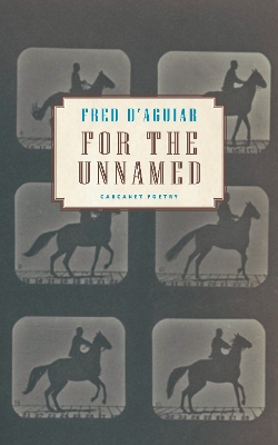 Book cover for For the Unnamed