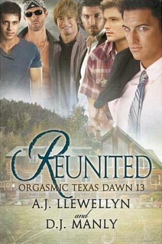 Cover of Reunited