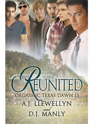 Book cover for Reunited