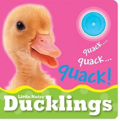Book cover for Little Noisy Books: Ducklings