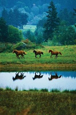 Book cover for Horse Reflections Any Day Planner Notebook