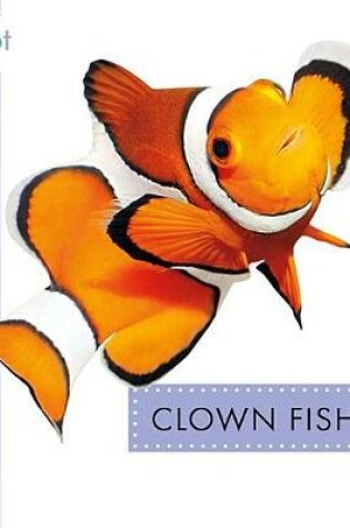 Cover of Clown Fish