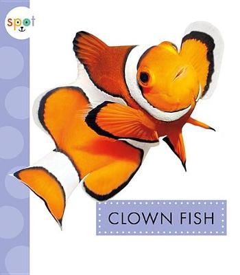 Book cover for Clown Fish