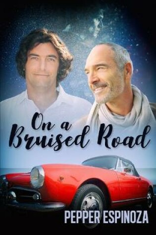 Cover of On a Bruised Road
