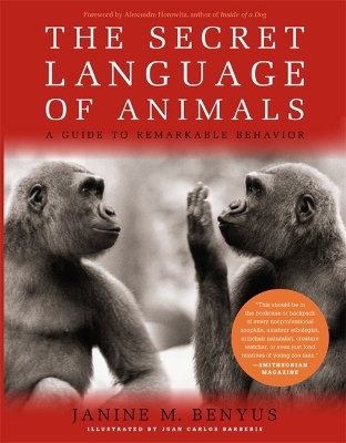 Book cover for The Secret Language Of Animals