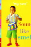 Book cover for Sounds Like Smelly