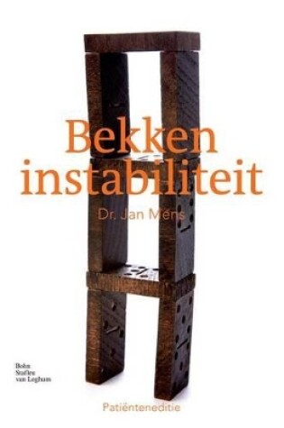 Cover of Bekkeninstabiliteit