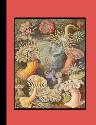 Book cover for Vintage botanical illustration Journal