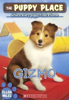 Book cover for Gizmo