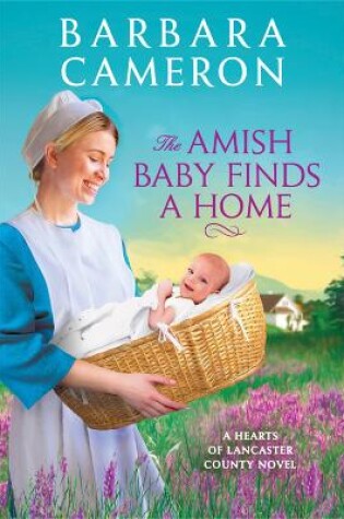 Cover of The Amish Baby Finds a Home