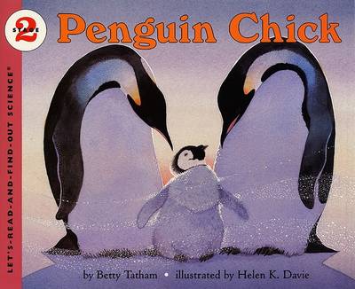 Book cover for Penguin Chick HB