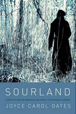 Book cover for Sourland